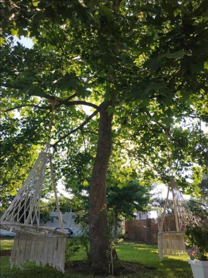 Jasmine Apartment Ormos Panagias Zewnętrze zdjęcie
